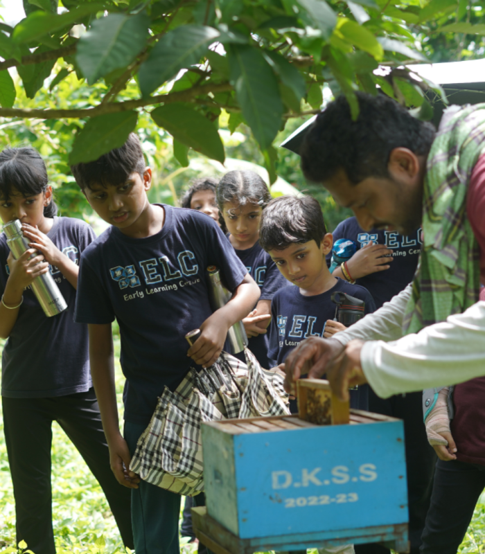 How Nature-Based Learning Supports Children